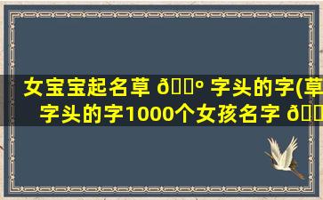 女宝宝起名草 🌺 字头的字(草字头的字1000个女孩名字 🌳 )